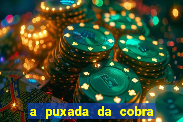 a puxada da cobra no jogo do bicho